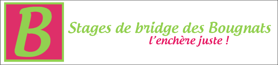2 - Logo bougnats